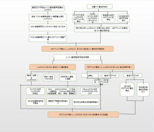 23個(gè)可編輯技術(shù)路線圖模板與繪制技巧: 涵蓋國(guó)自然9大熱點(diǎn)技術(shù)路線及貨物技術(shù)進(jìn)出口業(yè)務(wù)指導(dǎo)
